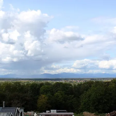 Lägenhet Haus Gutedel Bad Bellingen